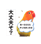 でめちゃんのスタンプ（個別スタンプ：24）