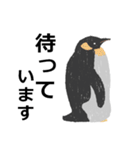 シンプルでクールなペンギンスタンプ（個別スタンプ：23）