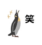 シンプルでクールなペンギンスタンプ（個別スタンプ：25）