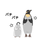 シンプルでクールなペンギンスタンプ（個別スタンプ：37）