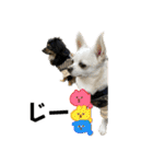 カイとソラの日常2（個別スタンプ：16）