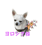 カイとソラの日常2（個別スタンプ：24）