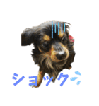 カイとソラの日常2（個別スタンプ：28）