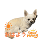 カイとソラの日常2（個別スタンプ：29）