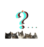 Y家の猫たち（個別スタンプ：2）