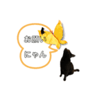 Y家の猫たち（個別スタンプ：12）