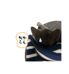 Y家の猫たち（個別スタンプ：17）