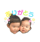あおきっぴースタンプ（個別スタンプ：6）