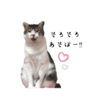 * *みんくのスタンプ* *（個別スタンプ：11）