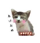 * *みんくのスタンプ* *（個別スタンプ：14）