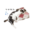 * *みんくのスタンプ* *（個別スタンプ：20）