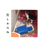 * *みんくのスタンプ* *（個別スタンプ：28）