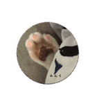 * *みんくのスタンプ* *（個別スタンプ：33）