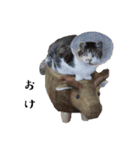 * *みんくのスタンプ* *（個別スタンプ：34）