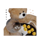 * *みんくのスタンプ* *（個別スタンプ：38）