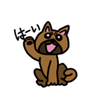 柴犬テツLINEすたんぷ②（個別スタンプ：1）