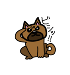 柴犬テツLINEすたんぷ②（個別スタンプ：2）