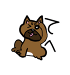 柴犬テツLINEすたんぷ②（個別スタンプ：3）