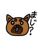 柴犬テツLINEすたんぷ②（個別スタンプ：12）