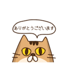 真顔ねこスタンプ(ありがとう多)（個別スタンプ：6）