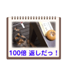 チワックスのミートくん2023③（個別スタンプ：3）