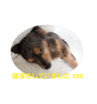 チワックスのミートくん2023③（個別スタンプ：6）