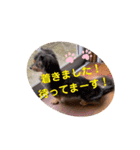 チワックスのミートくん2023③（個別スタンプ：8）