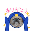 みるしょこぽん7（個別スタンプ：3）