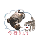 みるしょこぽん7（個別スタンプ：14）