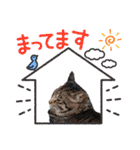 みるしょこぽん7（個別スタンプ：16）