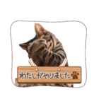 みるしょこぽん7（個別スタンプ：18）