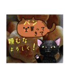 Kの世界(9)黒猫（個別スタンプ：6）