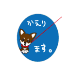 チワワ（チョコタン）と一緒に 修正版（個別スタンプ：13）