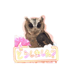 フクロウとイヌたち（個別スタンプ：5）