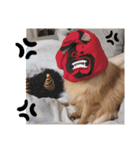 「ぽ」_ポメラニアンのぽむ__（個別スタンプ：18）