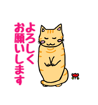 日常の気持ちとハートを猫が伝えます（個別スタンプ：39）