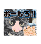 漫画風うちの黒猫にゃんズ4＆パピヨン先輩（個別スタンプ：10）