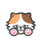 EXOTIC CUTE CAT 2（個別スタンプ：1）