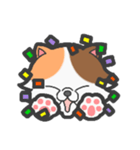 EXOTIC CUTE CAT 2（個別スタンプ：7）