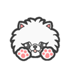 EXOTIC CUTE CAT 4（個別スタンプ：1）