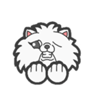 EXOTIC CUTE CAT 4（個別スタンプ：4）