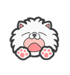 EXOTIC CUTE CAT 4（個別スタンプ：6）