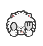 EXOTIC CUTE CAT 4（個別スタンプ：8）