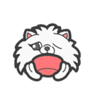EXOTIC CUTE CAT 4（個別スタンプ：9）