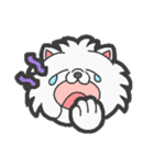 EXOTIC CUTE CAT 4（個別スタンプ：11）