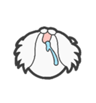 EXOTIC CUTE CAT 4（個別スタンプ：13）
