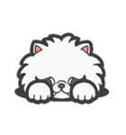 EXOTIC CUTE CAT 4（個別スタンプ：14）