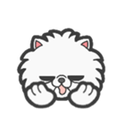 EXOTIC CUTE CAT 4（個別スタンプ：16）