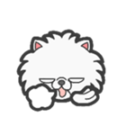 EXOTIC CUTE CAT 4（個別スタンプ：17）