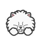 EXOTIC CUTE CAT 4（個別スタンプ：18）
